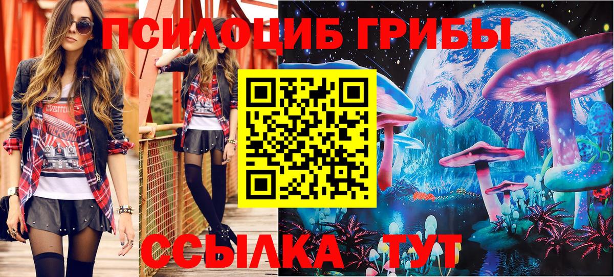Галлюциногенные грибы Psilocybe Тамбов